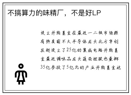 不搞算力的味精厂，不是好LP